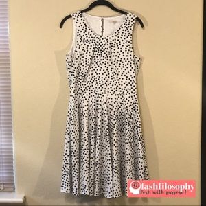 White with Black Polka Dot Fit & Flare Dress